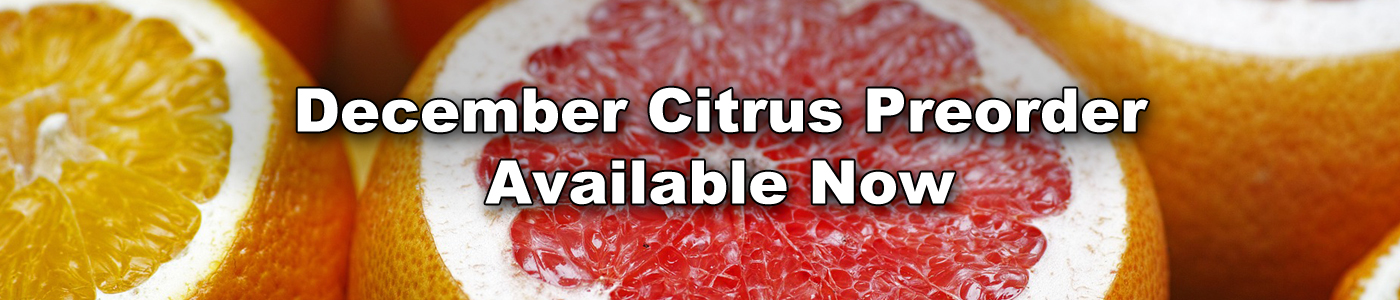 Citrus Pre-Order