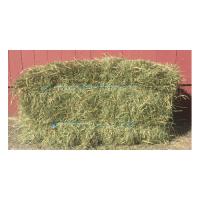 1st Cut Hay