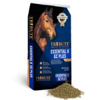 Tribute Essential K GC Plus