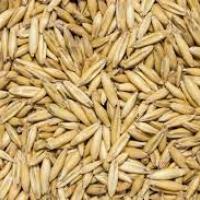 Oats