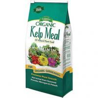 Kelp Meal