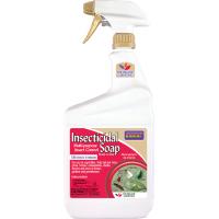 Insecticidal Soap Ready-to-Use