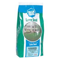 Blue Seal Evergreen Lawn Seed