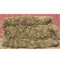 Mulch Hay