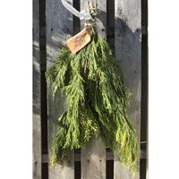 Cedar Incense Bough