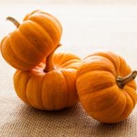 Mini Pumpkin Orange