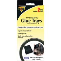 Rat Glue Tray