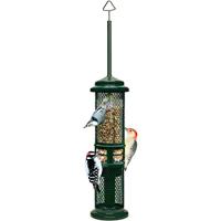 Squirrel Buster Peanut