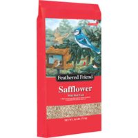 Safflower