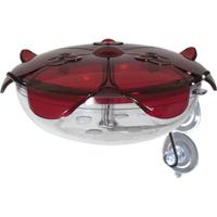Ruby Sipper Window Hummingbird Feeder