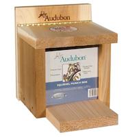 Squirrel Munch Box